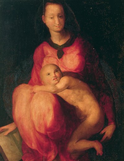 マドンナと子供（パネル） 作： Jacopo Pontormo